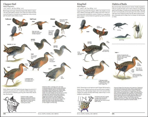 North American Bird Guide, 2nd ed. - Sibley, D. 2014